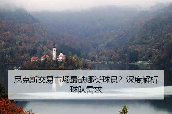 尼克斯交易市场最缺哪类球员？深度解析球队需求